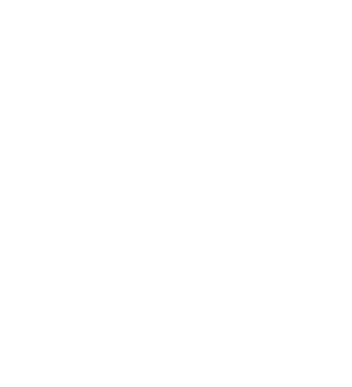 Service 24 Hour Emergency Vet Service