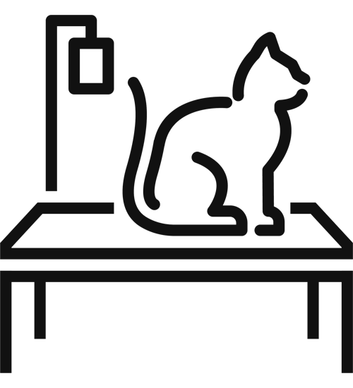 Service Pet and Animal Anaesthetic & Surgery