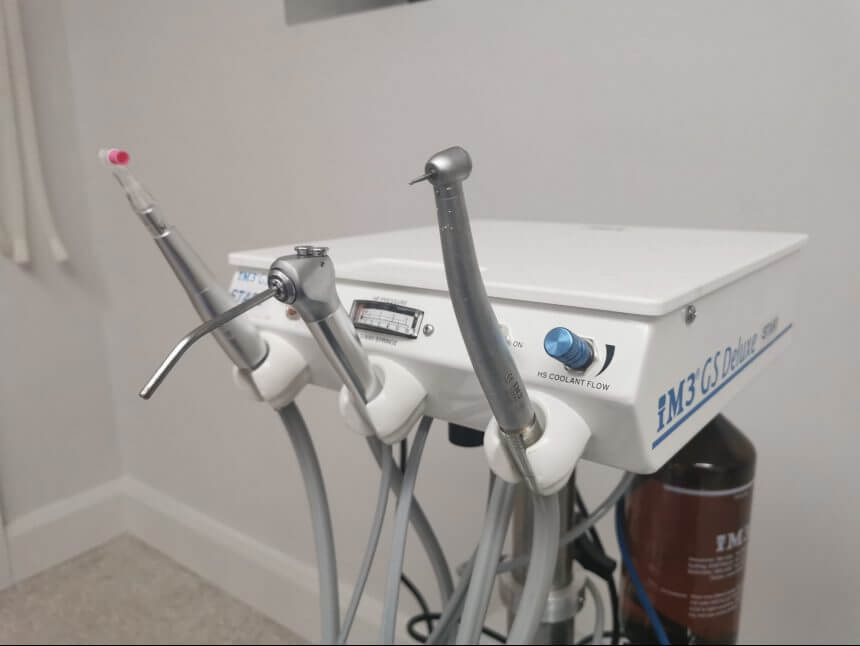Service Animal Dentistry