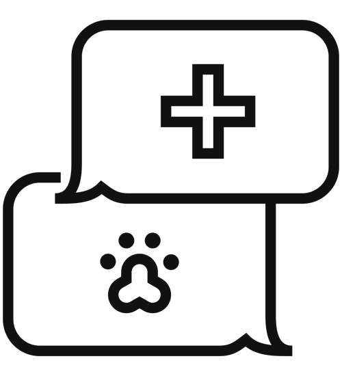 Service Vet Consultations