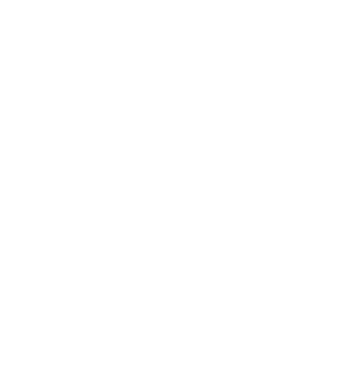 Service Vet Consultations