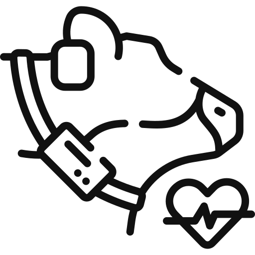 Service Herd Health Investigations