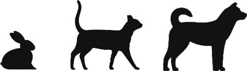 Rabbit Cat Dog Pet Animals