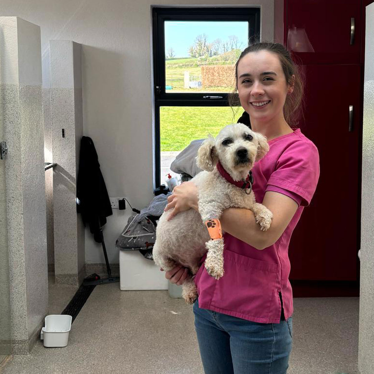 Service Vet Hospital Staff Dog Pet Animal