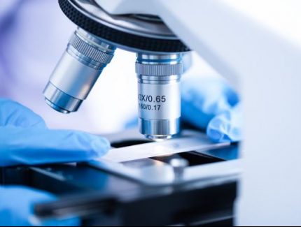 Service Pet Animal Laboratory