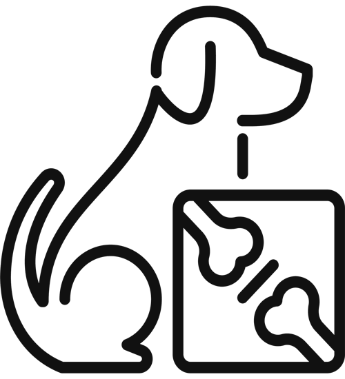 Service Pet and Animal Digital X-ray