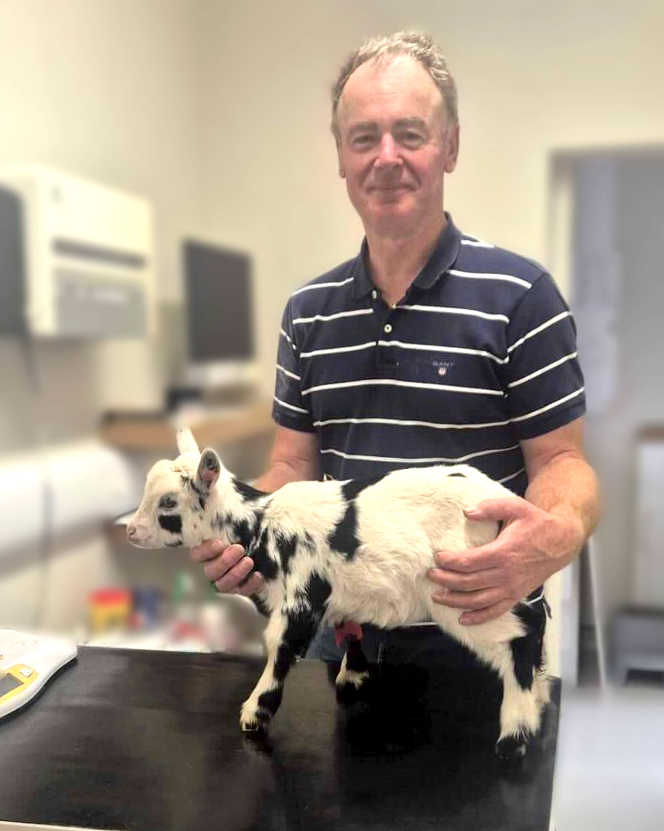 our-vet