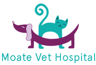 Moate Vet Hospital